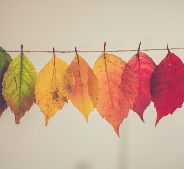 chris-lawton-5IHz5WhosQE-unsplash