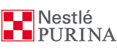 served Nestle with custom web development services